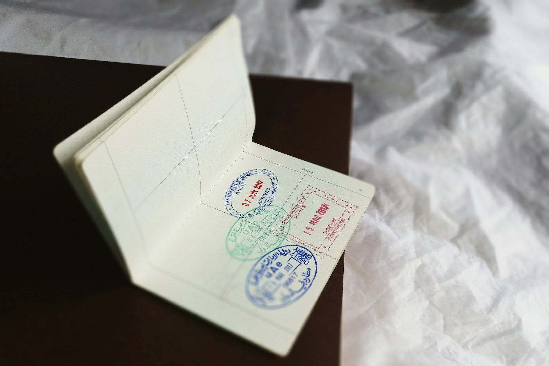 Close-up of official stamps on a document